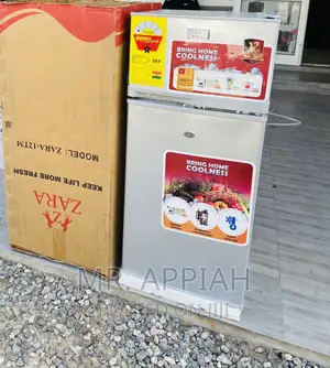 Newly in Stock Zara(Gray)12TM Double Door Electric Fridge