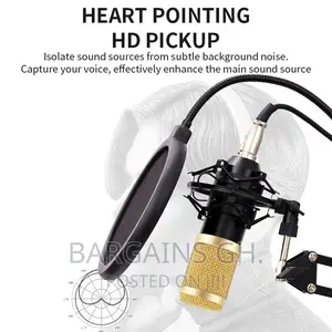 Professional Condenser Microphone Full Kit