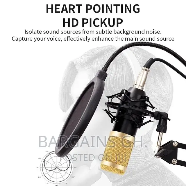 Professional Condenser Microphone Full Kit