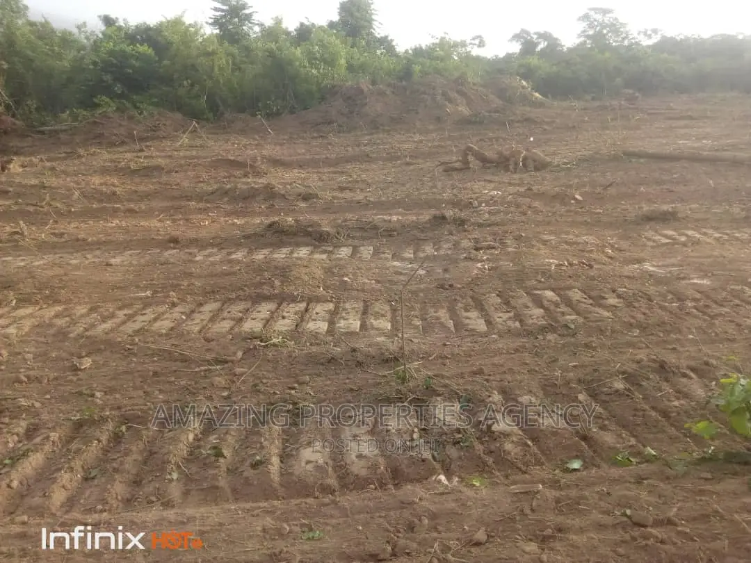 1 Acre Titled Land for Sale at Tesano