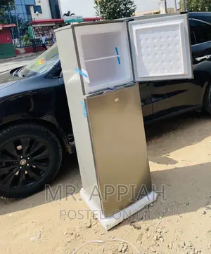 Nicely Designed Pearl Pf 270 Ix 2 Door Electric Fridge,Gray