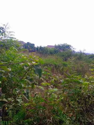 5 Acres of Land for Sale at Borteyman