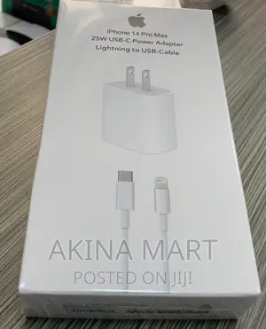 Original iPhone Type C Charger