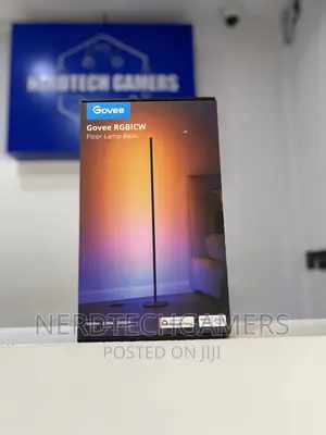 Govee Rgbicww Floor Lamp Basic