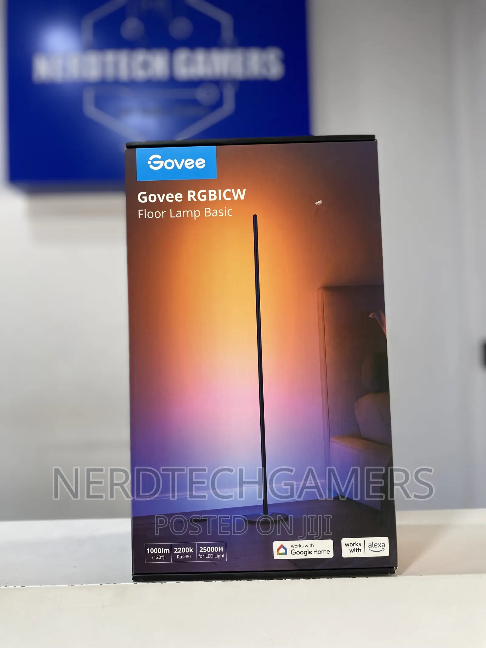 Govee Rgbicww Floor Lamp Basic