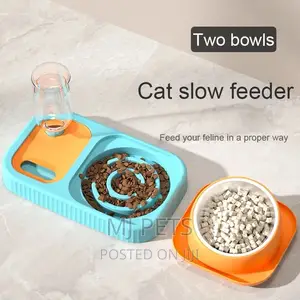 Combined Pet Feeder 3 in 1