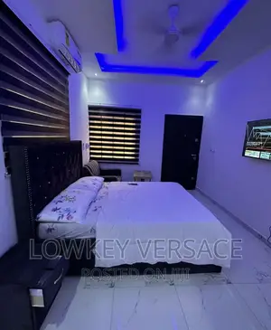 Furnished Studio Apartment + Gen+Starlink Internet+ DSTV