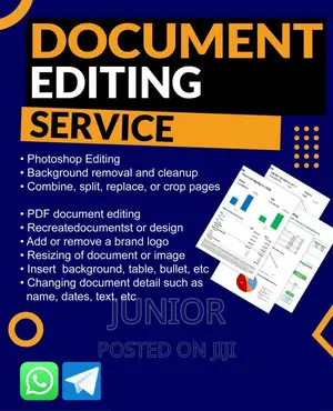 Professional Documents Editing