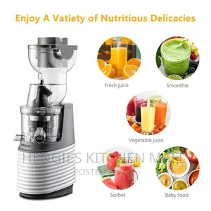 Sokany High Quality Slow Juicer