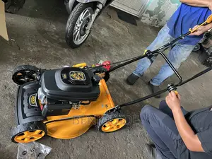 Ingco Gasoline Lawn Mower 4.8hp