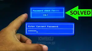 Laptop Bios Password Removal