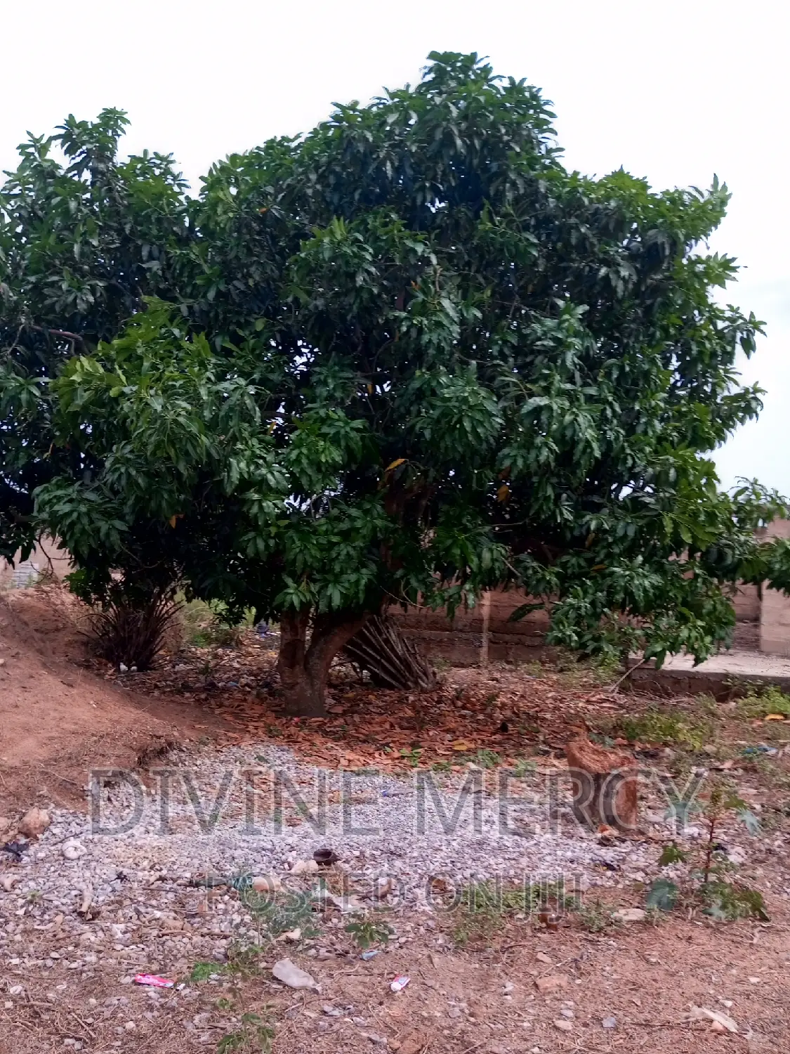 1 Plot of Land With 4 Bedroom Structure on It 4 Sale
