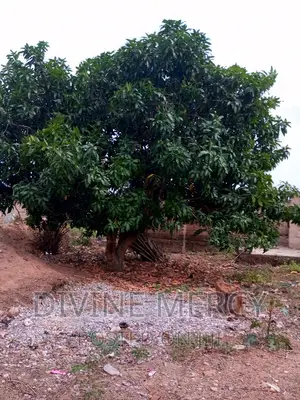 1 Plot of Land With 4 Bedroom Structure on It 4 Sale