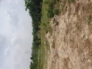 Half Plot for Sale at Brofuyedro Darko