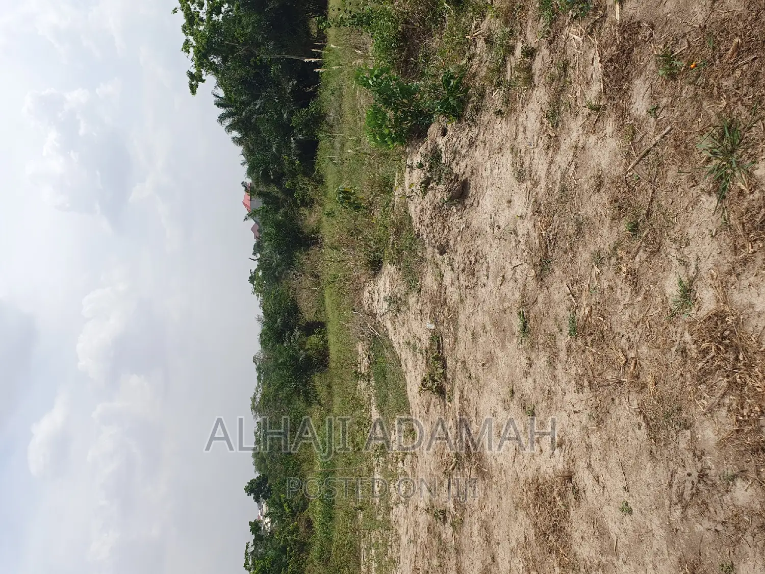 Half Plot for Sale at Brofuyedro Darko