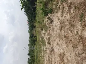 Half Plot for Sale at Brofuyedro Darko