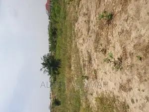 Half Plot for Sale at Brofuyedro Darko