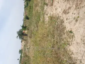 Half Plot for Sale at Brofuyedro Darko