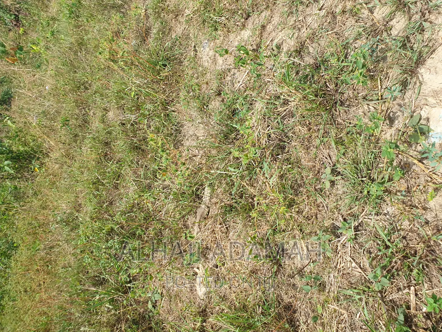 Half Plot for Sale at Brofuyedro Darko