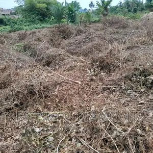 Half Plot for Sale at Mpintsin Plot Enterprise