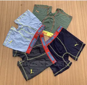 Shorts Inner Stretch