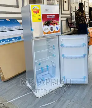 Extremely Chilling Zara 22TM Double Door Fridge,Gray.