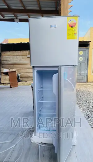 Shop Classic Nascof2-16fl Electric Refrigerator(Gray).