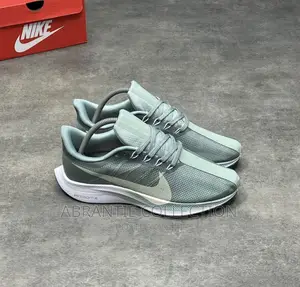 Nike Zoom Pegasus