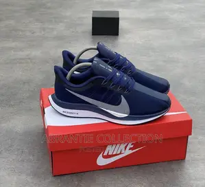Nike Zoon Pegasus