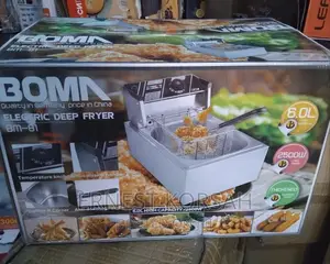 Electric Deep Fryer