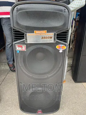 Temeisheng 15×2 Full Range Rechargeable Speaker