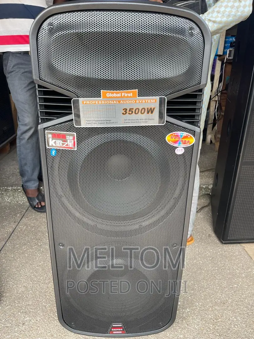 Temeisheng 15×2 Full Range Rechargeable Speaker