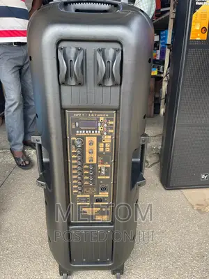 Temeisheng 15×2 Full Range Rechargeable Speaker