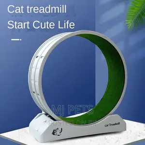 Cat Treadmill