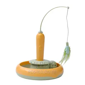 Play Toy for Cats N Puppies