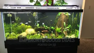 Aquarium With Fish