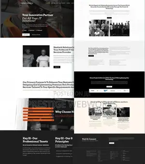 Professional Seo Website Development(Business Website)