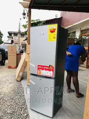 Energy Sufficient Zara 240bf 2 Door Electric Fridge,Gray.