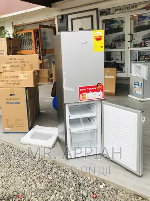 Energy Efficient Zara 240bfDouble Door Electric Fridge,Gray
