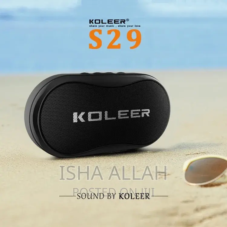Portable Speaker