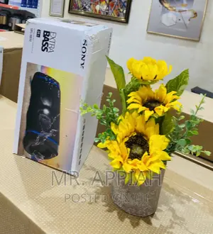 Shop Adorable Sony Waterproof Bluetooth Speaker(Srs-Xb33).