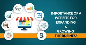 Get Professional Business Website in 5days