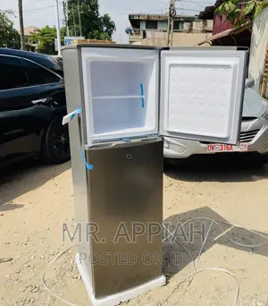 Authentic Pearl(Gray)Double Door Electric Refrigerator.