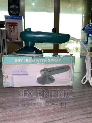 Electric Portable Mini Steam Iron