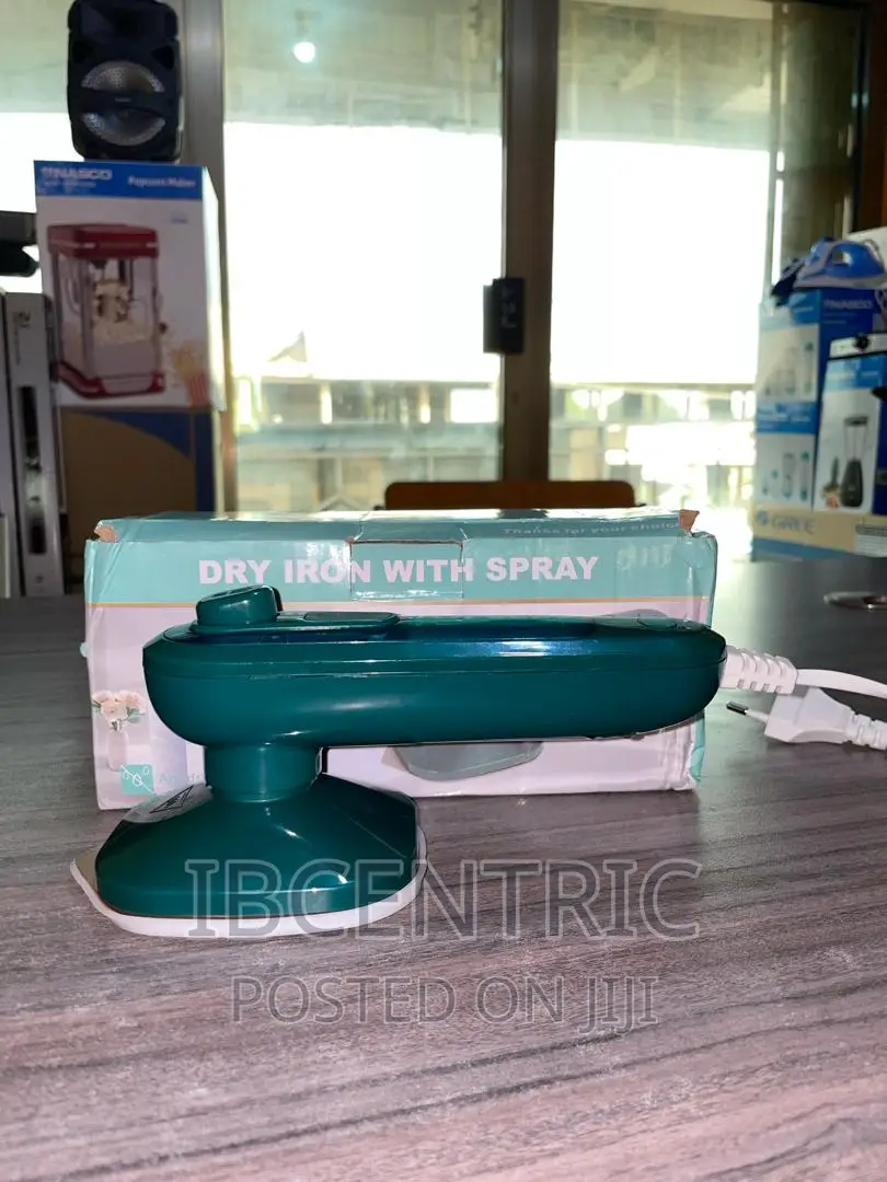 Electric Portable Mini Steam Iron