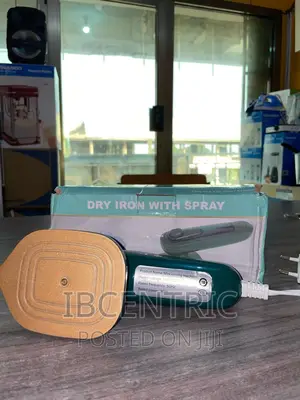 Electric Portable Mini Steam Iron