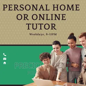 Professional Home or Online Tutor