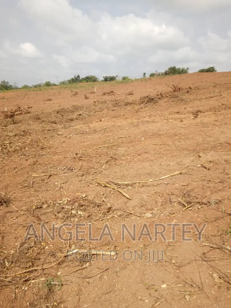 Land for Sale at Tsopoli