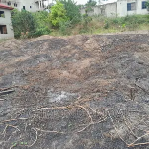 Half Plot for Sale at Queen of Peace