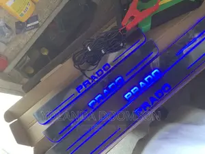 Fancy Step Door Light for All Cars
